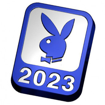 2023 Плейбой форма пластиковая